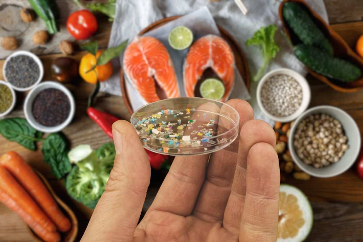 diversi alimenti e in primo piano una mano con un vetrino pieno di microplastiche
