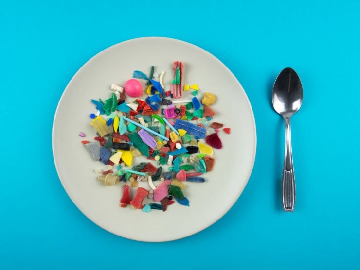 piatto pieno di microplastiche e cucchiaio accanto